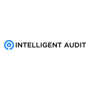 Intelligent Audit